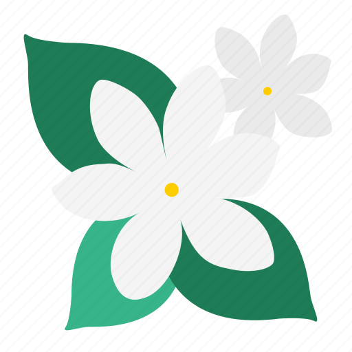 Bloom, flower, garden, jasmine, plant, wildflower, floral icon - Download on Iconfinder