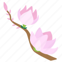 blooming, blossom, flowers, magnolia, plant, flower, garden