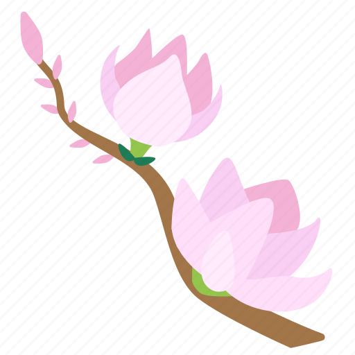 Blooming, blossom, flowers, magnolia, plant, flower, garden icon - Download on Iconfinder