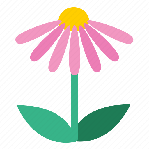 Blooming, floral, flower, plant, wildflower, coneflower, echinacea icon - Download on Iconfinder