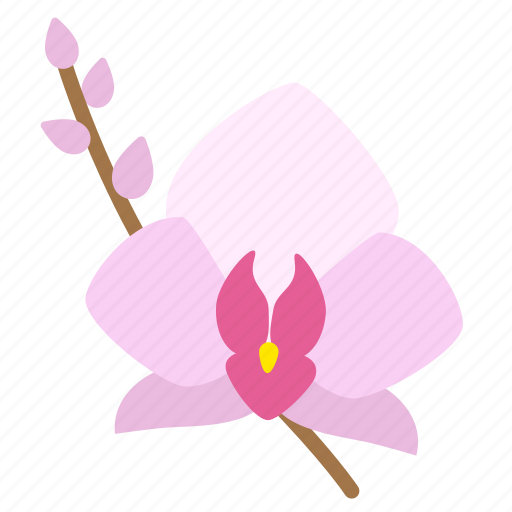 Bloom, blossom, floral, flower, flowering plant, orchid, flowers icon - Download on Iconfinder