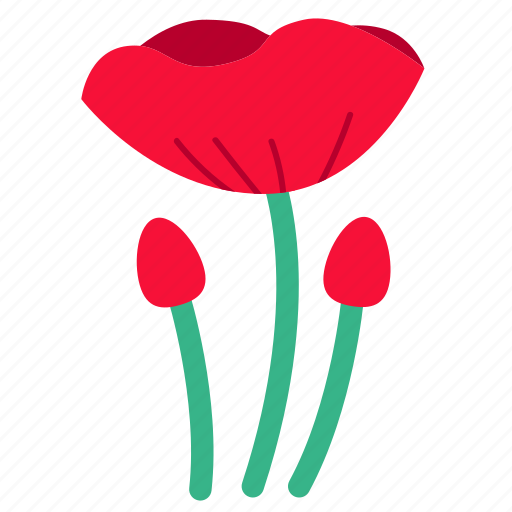 Flower, opium, poppy, red, wildflower, floral, flowers icon - Download on Iconfinder