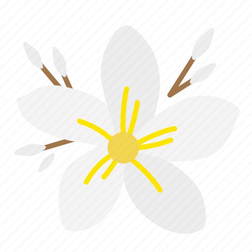 Bloom, flora, flower, fragrant, frangipani, plant, plumeria icon - Download on Iconfinder