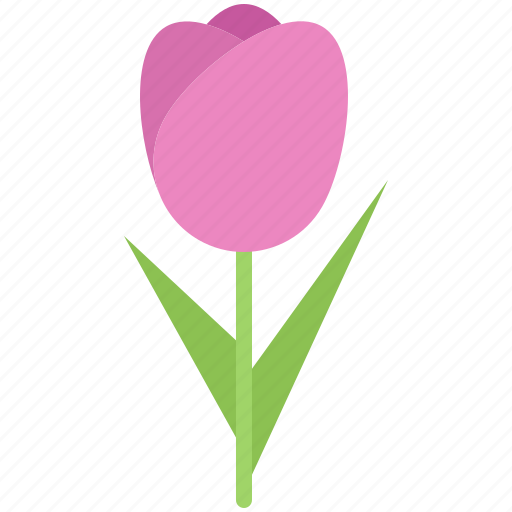Flower, plant, tulip, garden, flora, shop, nature icon - Download on Iconfinder