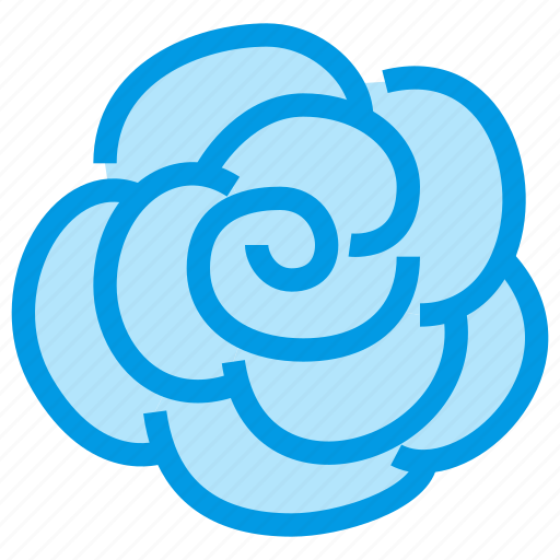 Blossom, flower, garden, nature, rose icon - Download on Iconfinder