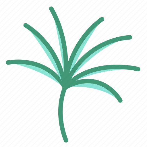 Botanic, foliage, leaf, papyrus, plant icon - Download on Iconfinder