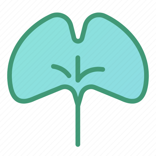 Botanic, foliage, ginkgo, leaf, plant icon - Download on Iconfinder