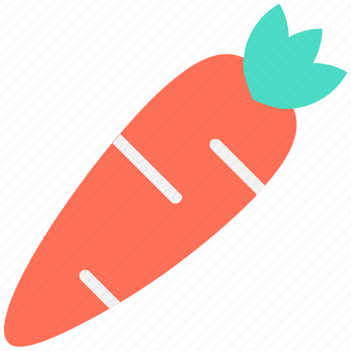 Carrot, diet, food, root vegetable, vegetable icon - Download on Iconfinder