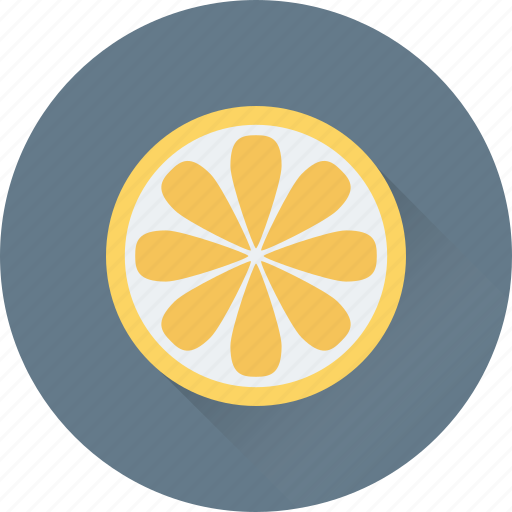 Citrus, food, fruit, lemon slice, orange slice icon - Download on Iconfinder