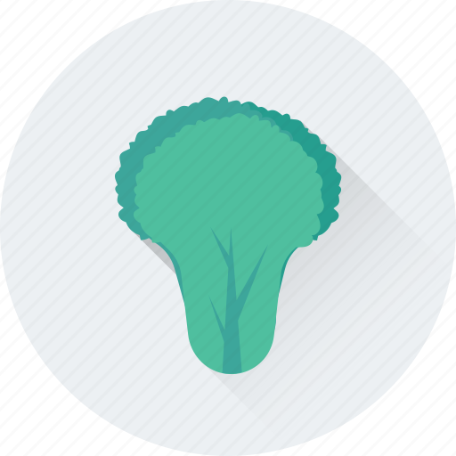 Food, green veggie, lettuce, spinach, vegetable icon - Download on Iconfinder