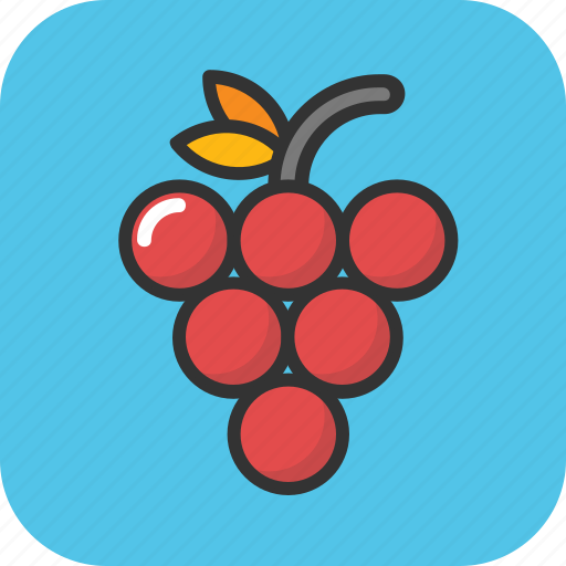 Bunch of grapes, food, fruit, grapes, organic food icon - Download on Iconfinder