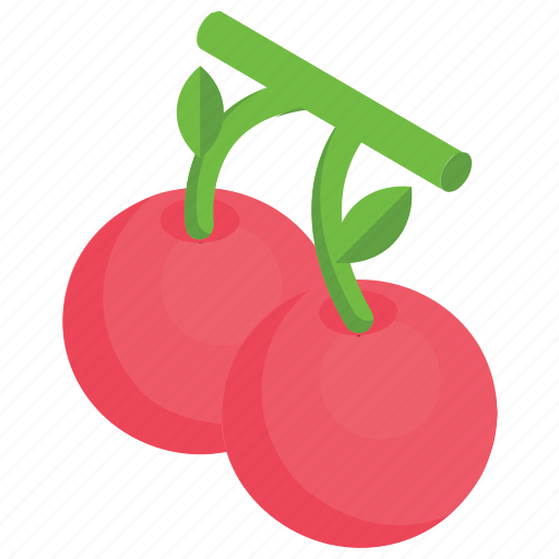 Berries, cherries, cherry bunch, cherry fruit, stone fruit icon - Download on Iconfinder