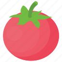 fresh tomato, organic vegetable, tomato, tomato plant, vegetable