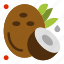 coconut, fruit, half 