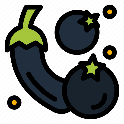 Aborigine, eggplant, vegetable icon - Download on Iconfinder