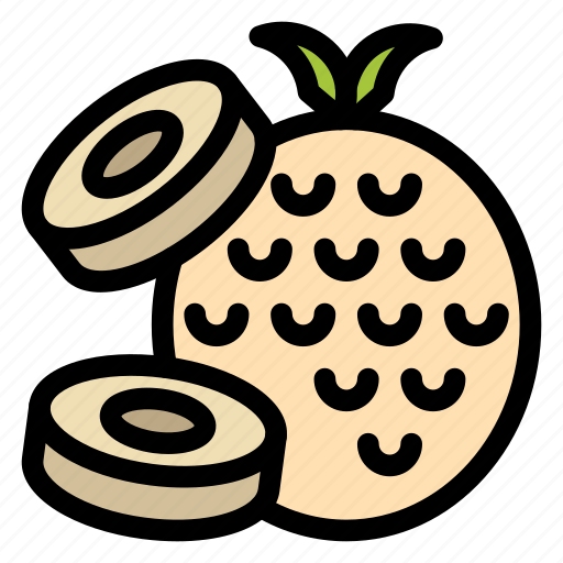 Fruit, pineapple, sliced icon - Download on Iconfinder