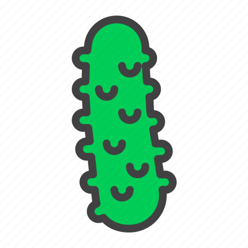 Cucumber, vegetable, food icon - Download on Iconfinder