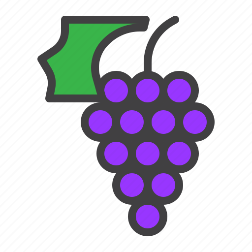 Grape, fruit, leaf icon - Download on Iconfinder