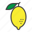 lemon, citrus, fruit, leaf 