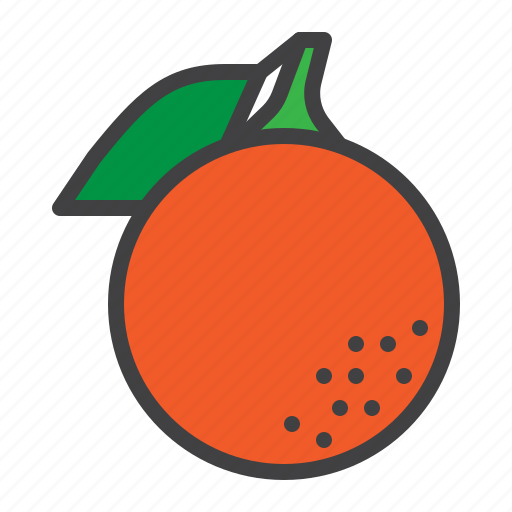 Orange, fruit, leaf icon - Download on Iconfinder