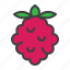 raspberries, berry, fruit 