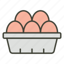 eggs, tray, protein, nutrition, farm, poultry, organic
