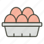 eggs, tray, protein, nutrition, farm, poultry, organic 