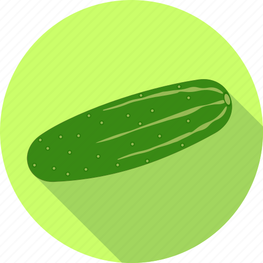 Cucumber, food, restaurant, salad, vegetable, vegeteriants icon - Download on Iconfinder