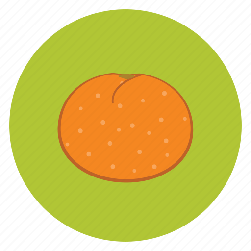 Food, fruit, healthy, lunch, orange, snack icon - Download on Iconfinder