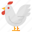 animal, chicken, farm, rooster 