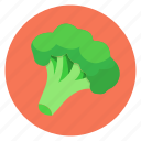 broccoli, color, food, vegetables
