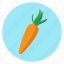 carrot, color, food, vegetables 