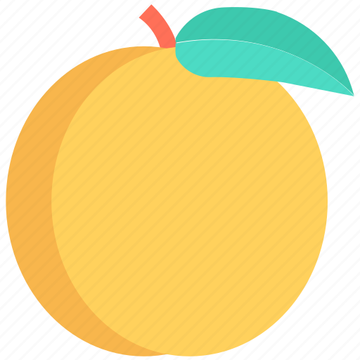 Diet, food, fruit, healthy food, orange icon - Download on Iconfinder