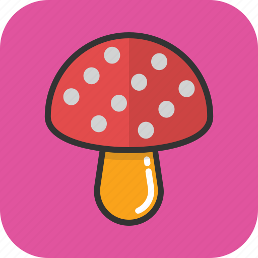 Food, fungi, mushroom, oyster, toadstool icon - Download on Iconfinder