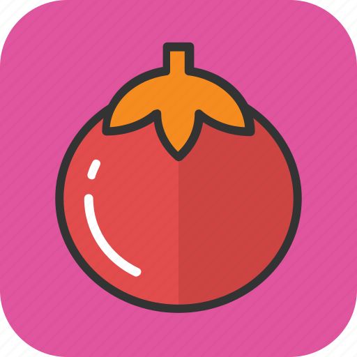 Food, fruit, nutrition, tomato, vegetable icon - Download on Iconfinder