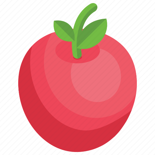 Fresh tomato, organic vegetable, tomato, tomato plant, vegetable icon - Download on Iconfinder