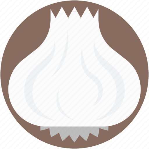 Beetroot, bulb onion, common onion, onion, vegetable icon - Download on Iconfinder