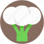 brassicaceae vegetable, cauliflower, diet, healthy diet, vegetable 
