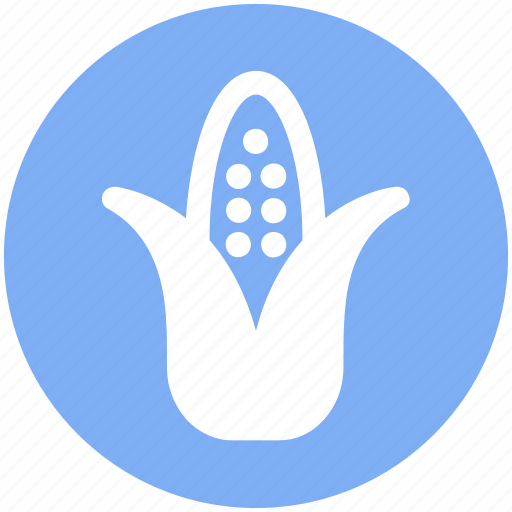 Agriculture, corn, food, maize, syrup, vegetables icon - Download on Iconfinder