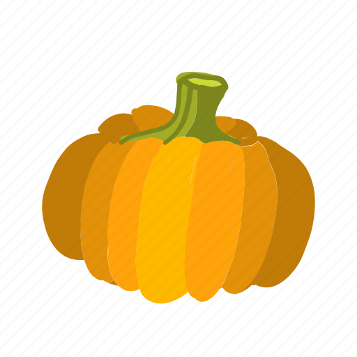 Color, cooking, food, pumpkin, vegetable, vegetarian icon - Download on Iconfinder