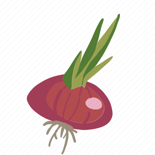 Color, food, onion, vegetable, vegetarian, red icon - Download on Iconfinder