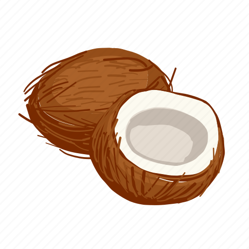 Coconut, cooking, food, nut, vegetarian, diet, superfood icon - Download on Iconfinder
