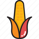 corn, corn cob, maize, sugar corn, sweet corn