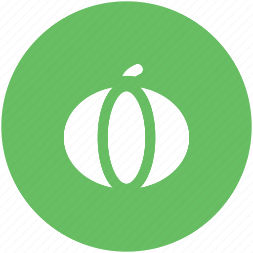 Cucurbita maxima, cucurbita pepo, food, jicama, pumpkin, vegetable icon - Download on Iconfinder