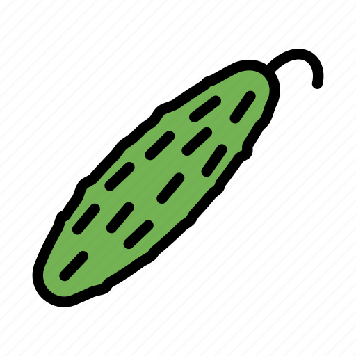 Cucumber, food, plant, vegetables icon - Download on Iconfinder