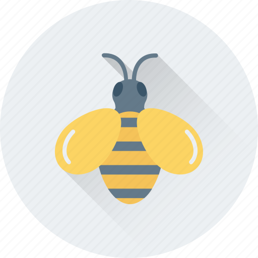 Bee, beehive, honey, honey bee, insect icon - Download on Iconfinder