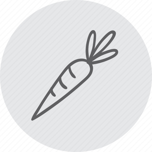 Carrot, diet, healthy, organic, vegetable, vegetarian icon - Download on Iconfinder