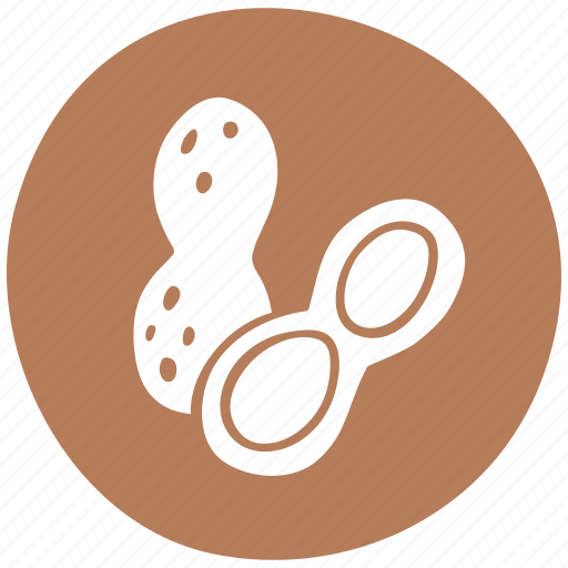 Fruit, peanuts, allergen, groundnut, food icon - Download on Iconfinder
