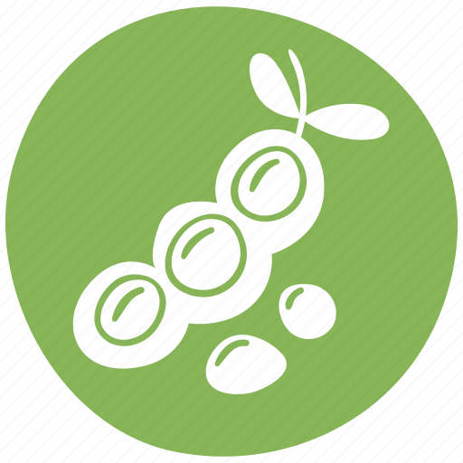 Vegetable, legume, allergen, soya, food icon - Download on Iconfinder
