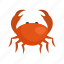 crab, sea 